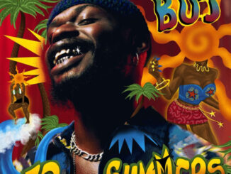 Boj releases the eagerly awaited album "12 Summers."