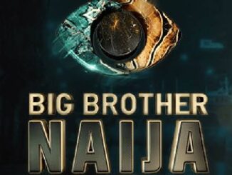 New idea, premiere date, and all the information on season 9 of BBNaija 2024