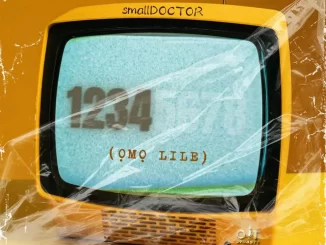 Small DOCTOR – 1234 (omo Lile)